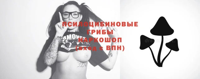 кокаин перу Аркадак